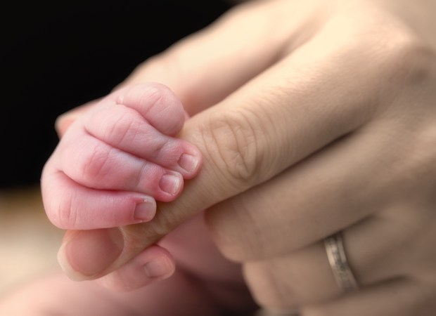 shutterstock_8474977