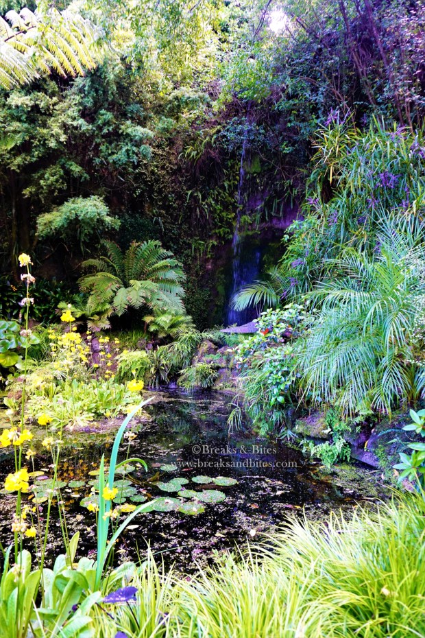 Eden Garden Waterfall - Auckland